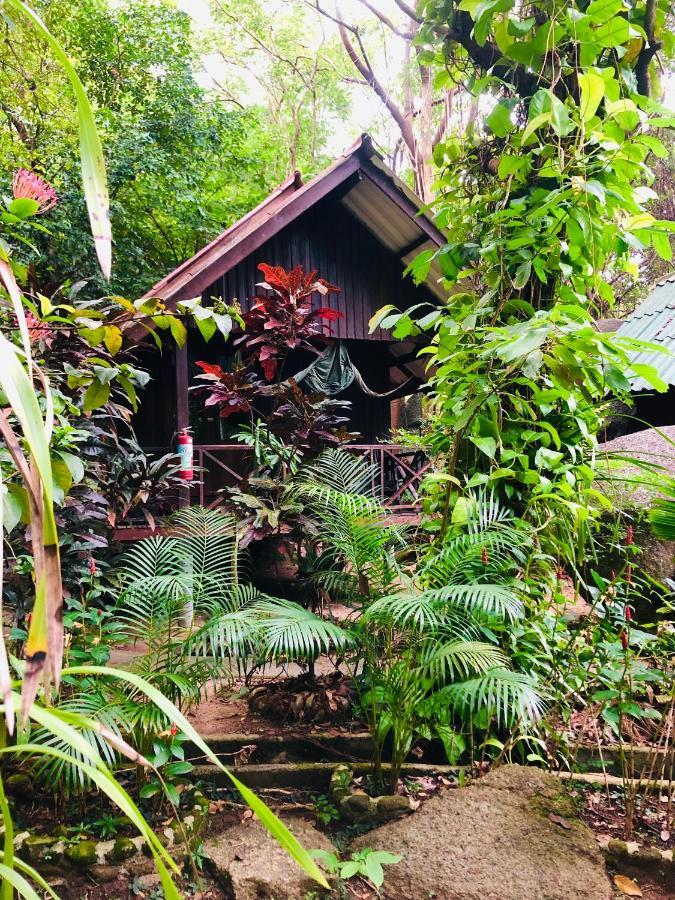 Отель Bambu Huts Баан Тай Экстерьер фото