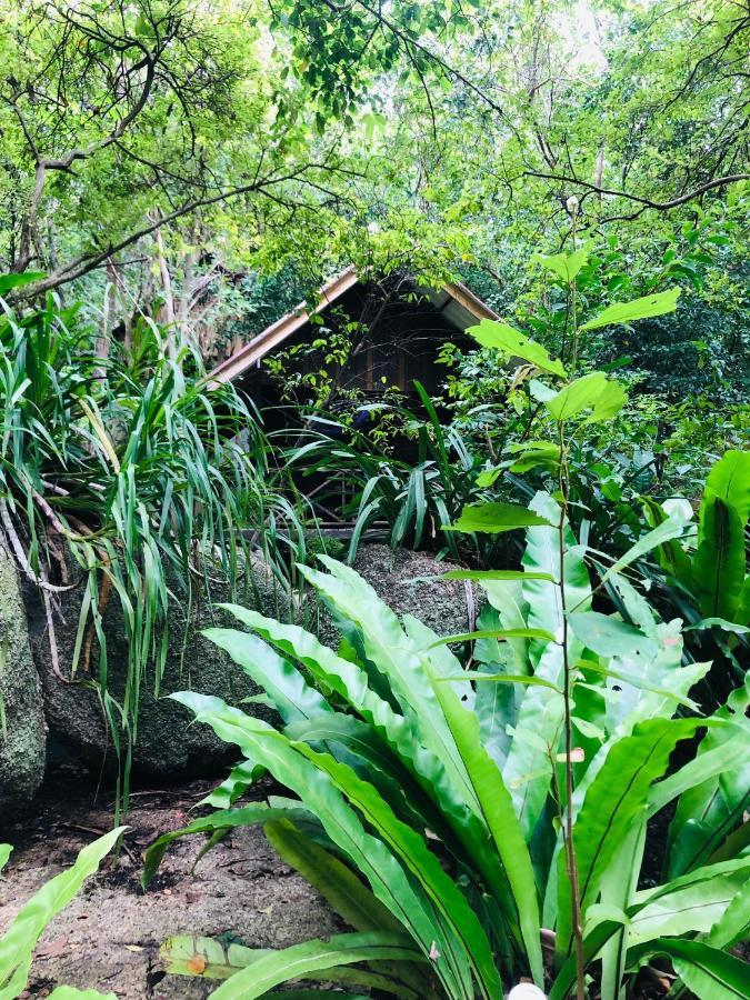 Отель Bambu Huts Баан Тай Экстерьер фото